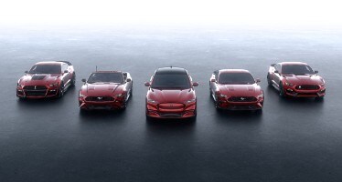 Mustang Family Photo
